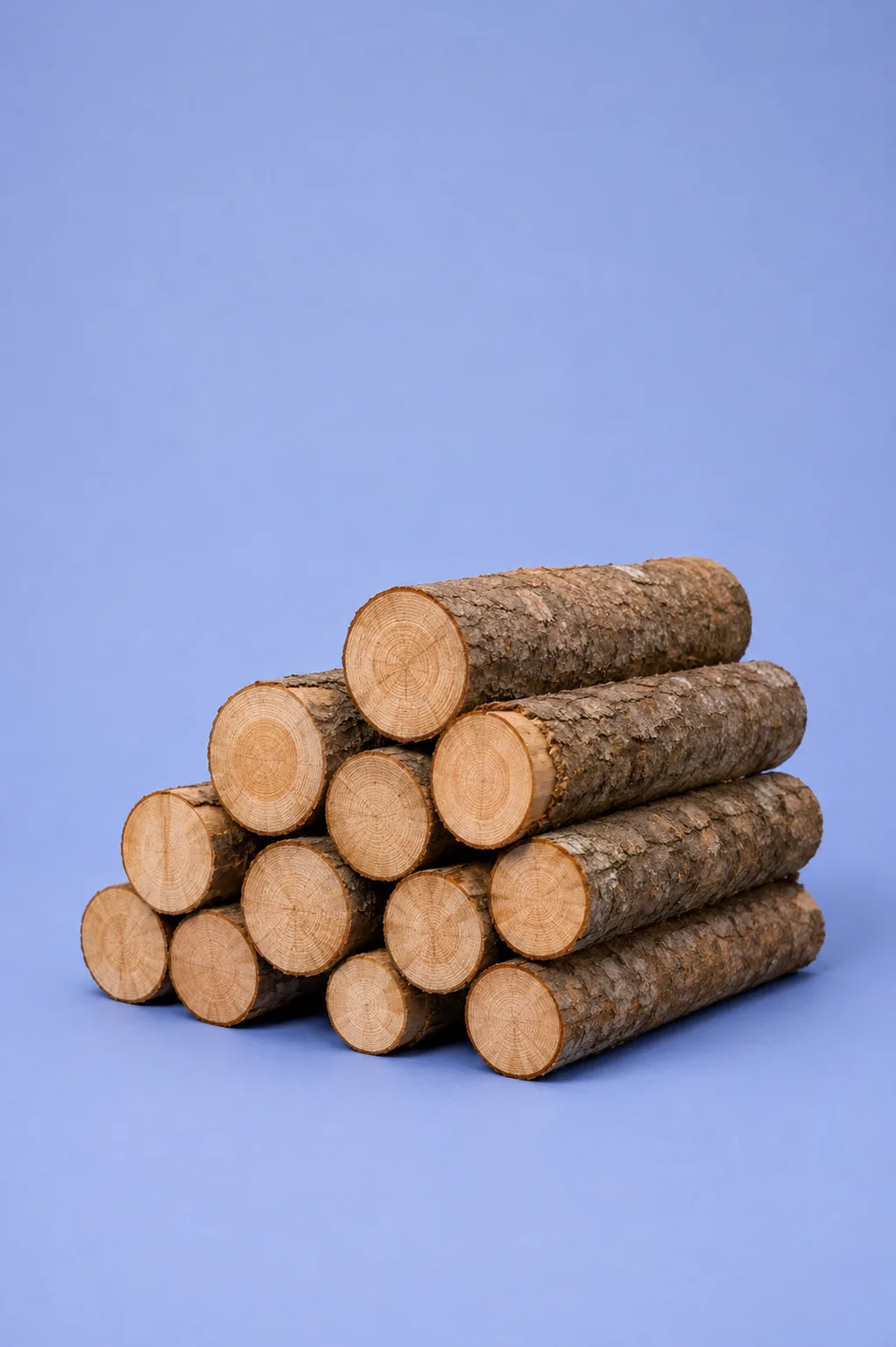 Toras de Pinus